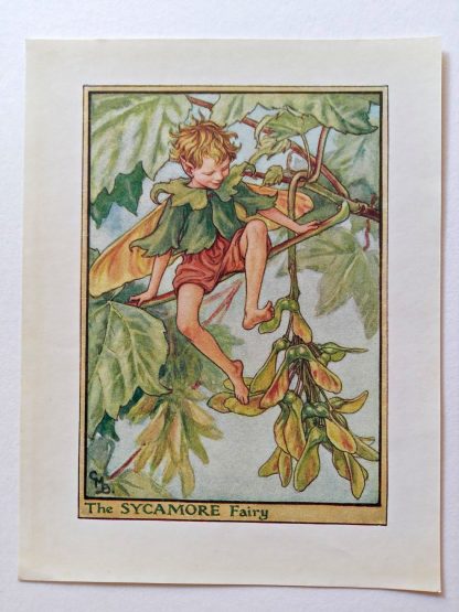 Sycamore Fairies Print