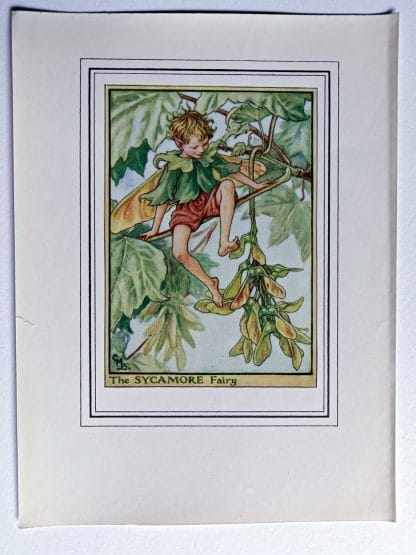 Sycamore Fairy Print