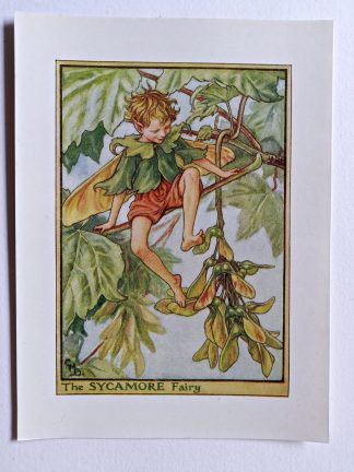 Sycamore Flower Fairy Print