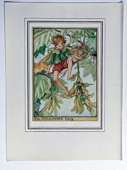 Sycamore Vintage Flower Fairy Print