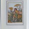 Tansy Fairy Print