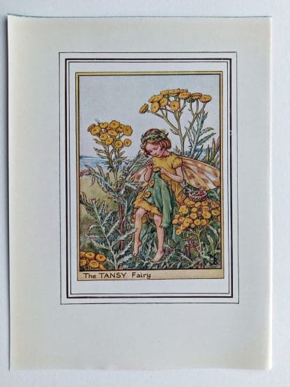 Tansy Fairy Print
