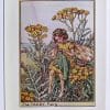 Tansy Flower Fairy Print