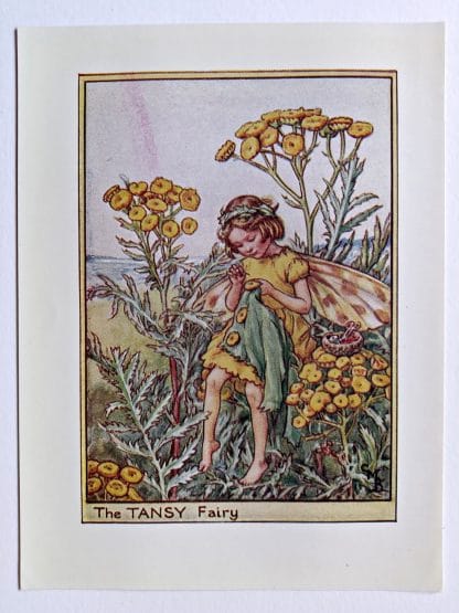 Tansy Flower Fairy Print