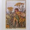 Tansy Vintage Fairy Print