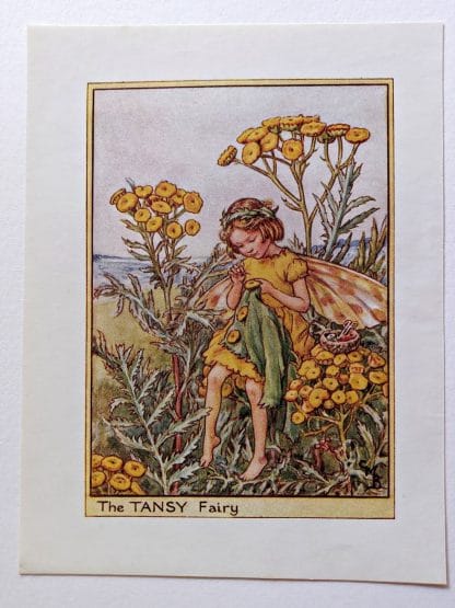 Tansy Vintage Fairy Print