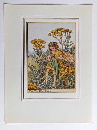 Tansy Vintage Flower Fairy Print