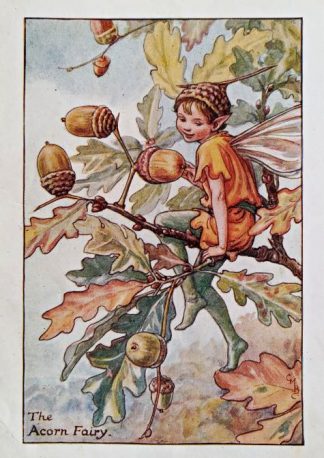 Acorn Fairy