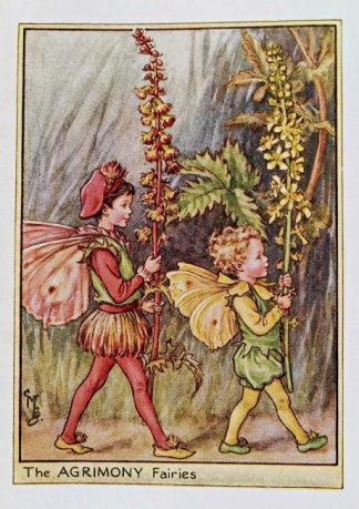 Agrimony Fairy