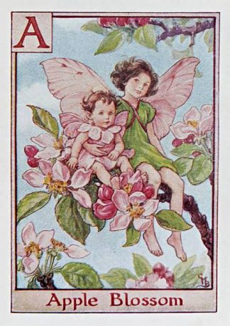 Apple Blossom Fairy