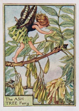 Ash Tree Fairy