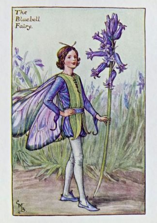 Bluebell Fairy