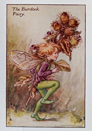 Burdock Fairy