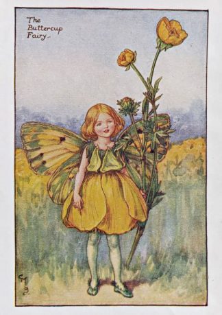 Buttercup Fairy