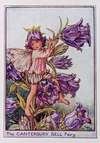 Canterbury Bell Fairy