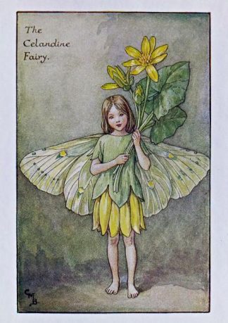 Celandine Fairy