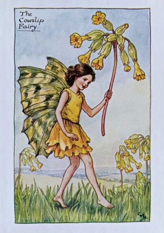 Cowslip Fairy