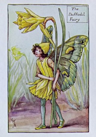 Daffodil Fairy