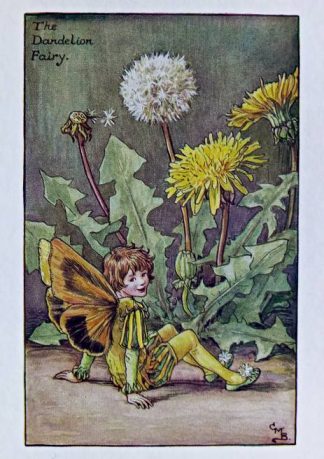 Dandelion Fairy