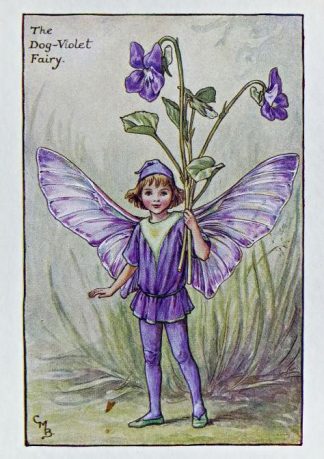 Dog-Violet Fairy