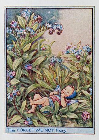 Forget-me-Not (Garden) Fairy