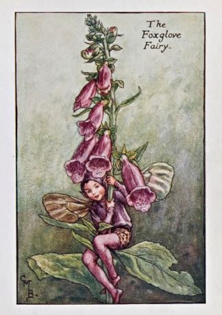 Foxglove Fairy