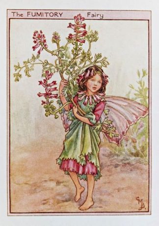 Fumitory Fairy