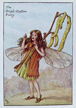 Hazel Catkin Fairy