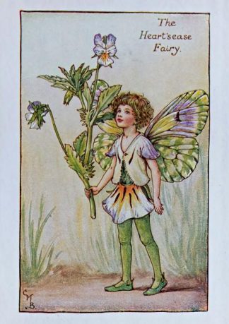 Heartsease Fairy