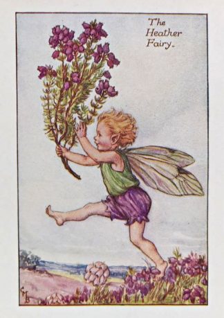 Heather Fairy