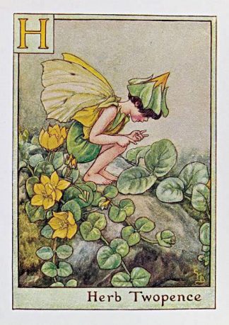 Herb Twopence Fairy
