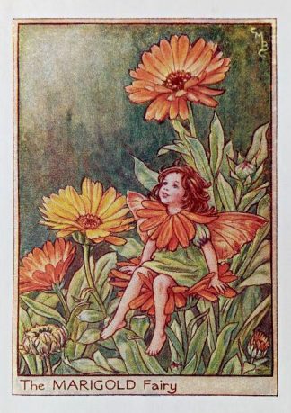 Marigold Fairy