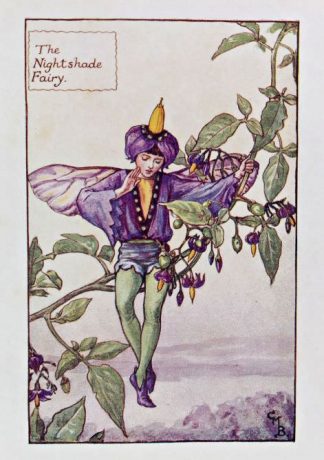 Nightshade Fairy