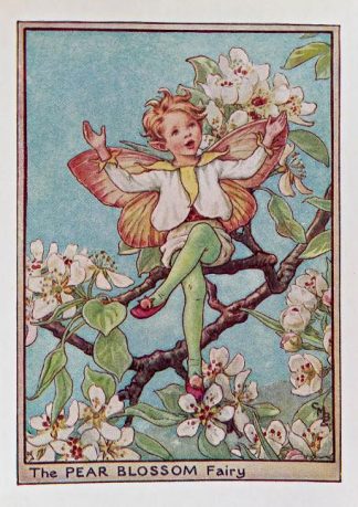 Pear Blossom Fairy