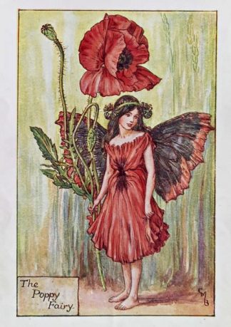 Poppy Fairy