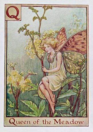 Queen-of-the-Meadow Fairy