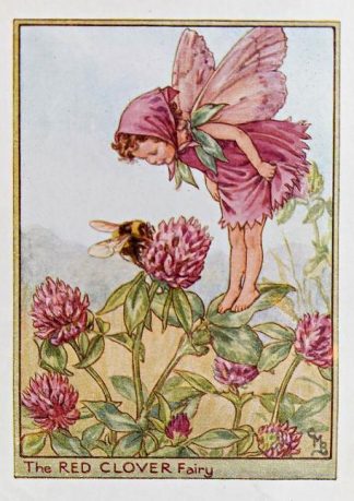 Red Clover Fairy