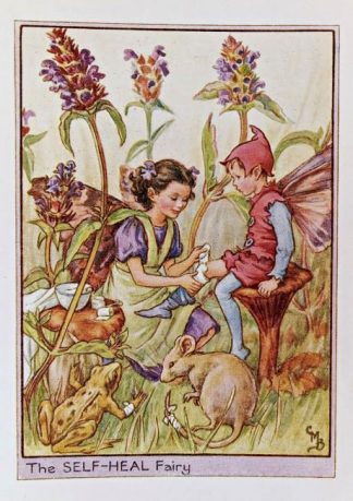 Self-Heal Fairy