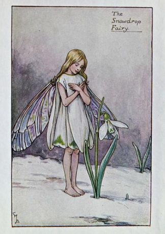 Snowdrop Fairy