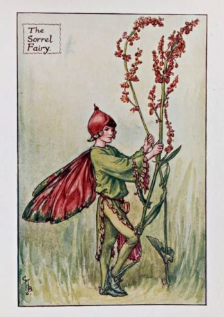 Sorrel Fairy