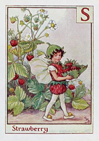 Strawberry Fairy