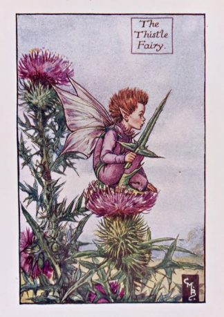 Thistle Fairy