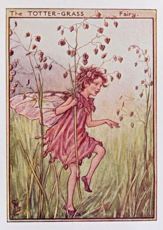 Totter-Grass Fairy
