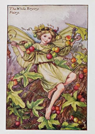 White Bryony Fairy