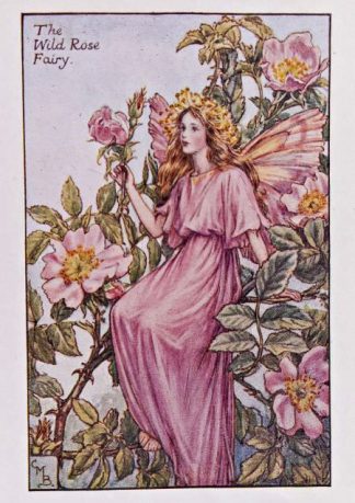 Wild Rose Fairy