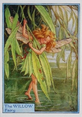 Willow Tree Fairy