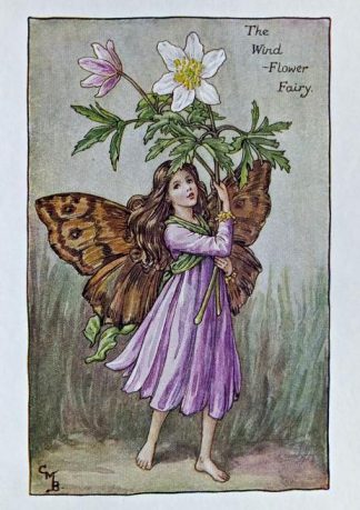 Wind-Flower Fairy