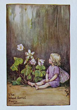 Wood Sorrel Fairy