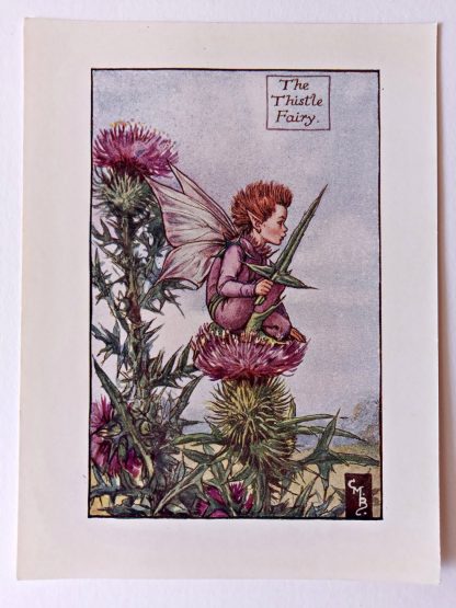 Thistle Flower Fairy Print