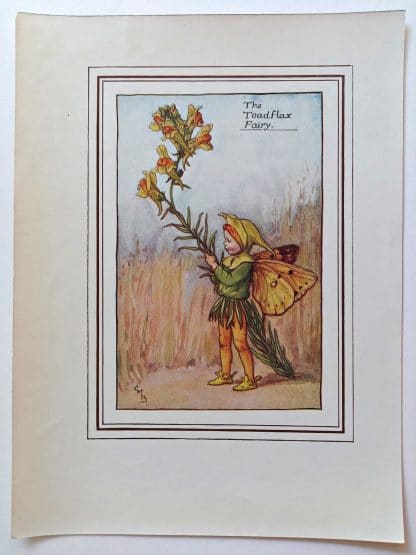 Toadflax Fairies Print